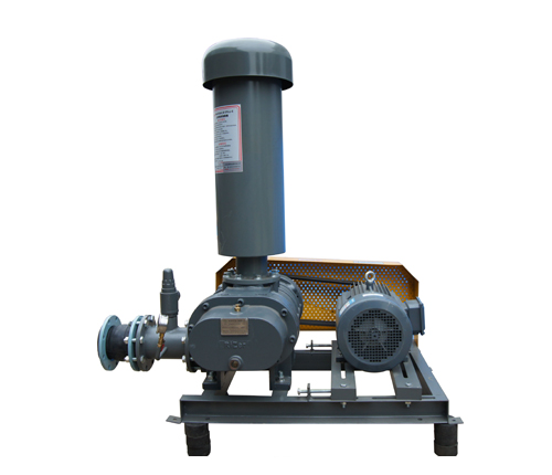 羅茨鼓風(fēng)機